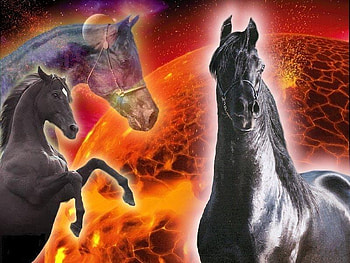 The Three Stallions, stallion, animals, space, arabian, nature, fire, black animals HD wallpaper