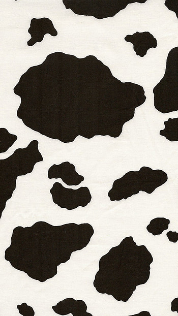 cow Print, Cow Print Black White HD phone wallpaper