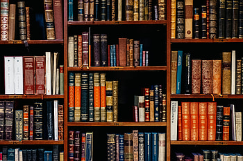 Vintage Bookshelf – Timeless Man-Made Collection, man made, book HD wallpaper