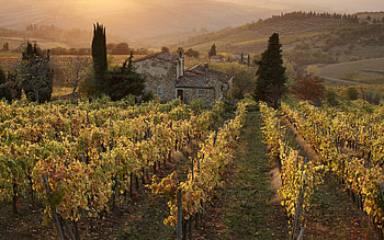 Tuscany collection, Breathtaking , Stunning visual journey, Tuscany's beauty HD wallpaper