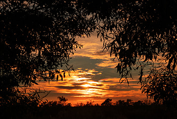 Sunset, Sky, Leaves, Dark, Shadows HD wallpaper