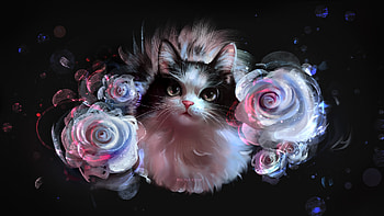 Cat, white, 1nfin1ty, pink, fantasy, pisici, polina cheliadinova, black, art, rose HD wallpaper