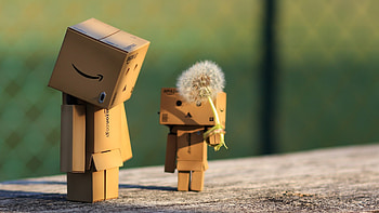 Danbo, danbo, cute HD wallpaper