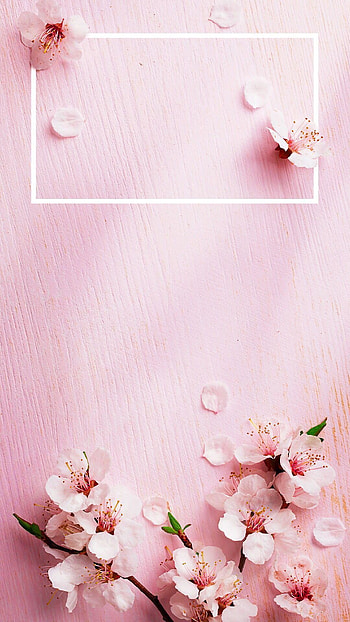 25 best ideas about Rose Gold on Pinterest | Rose gold . HD phone wallpaper