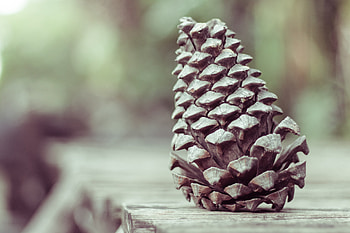 Miscellanea, Miscellaneous, Form, Bump, Cone HD wallpaper