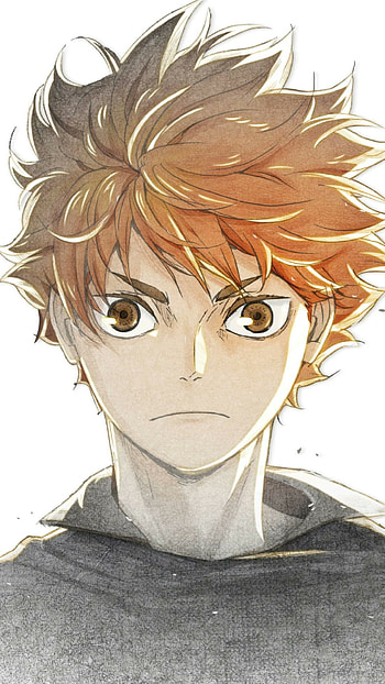 Haikyuu!! FINAL, Shōyō Hinata, Anime, Haikyū!! HD phone wallpaper
