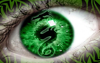 eye of the dragon, dragon, eye, green, beauty HD wallpaper