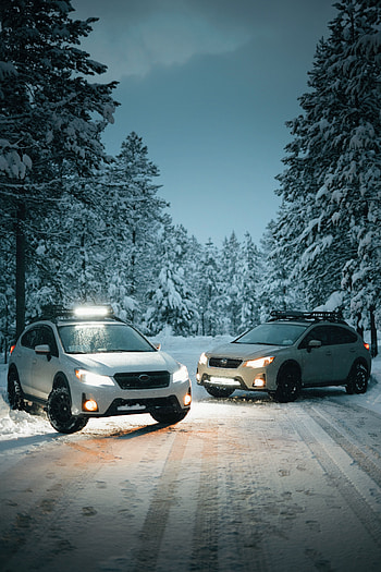 Auto, Winter, Trees, Snow, Cars HD phone wallpaper