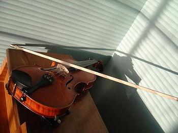 VIOLIN FOR ROSA, music, shadow, rosa, violin HD wallpaper