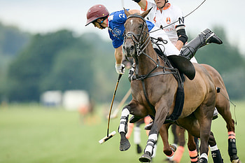 Dubai Polo Gold Cup Series, Horse Polo HD wallpaper