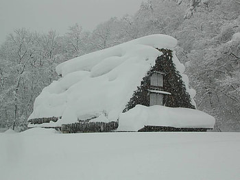 winter house, winter, snow, house, weather, forest HD wallpaper