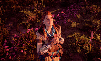 Horizon Zero Dawn, 2020, Aloy HD wallpaper