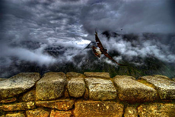 MOUNTAIN CARACARA TAKING OFF, off, eagle, foggy, take, caracara, stones, mountain HD wallpaper
