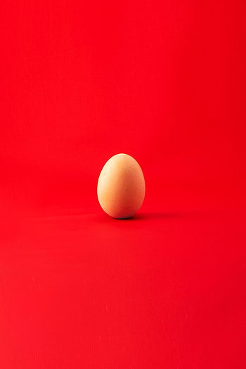 Minimalism, Egg, Chicken Egg HD phone wallpaper