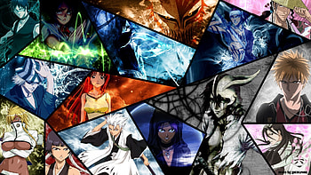 bleach, ulquiorra, ichigo, rukia, kurosaki, hitsugaya, kuchiki, anime, toushiro, espada, yoruichi HD wallpaper