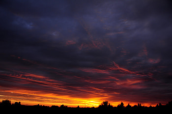 Nature, Trees, Sunset, Sky, Night, Clouds, Dark, Night Landscape, Nightscape HD wallpaper