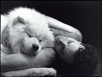 friends, dog, sleeping, man HD wallpaper