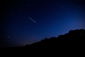 Trees, Stars, Night, Dark, Starry Sky, Fall, Darkness HD wallpaper