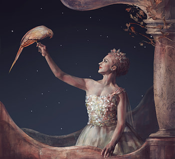 Girl with a parrot, fantasy, art, bird, girl, pasari, parrot, dark, night, olya karneko, papagal HD wallpaper