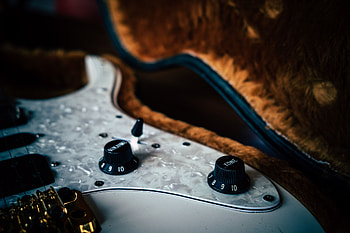 Music, Strings, Control, Management, Bas-Guitar, Bass HD wallpaper