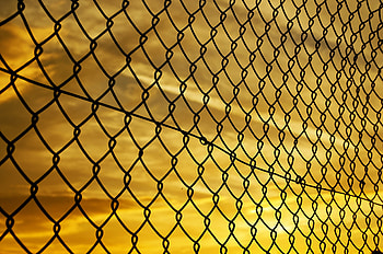 Fence Yellow Sky, fence, macro, sky HD wallpaper