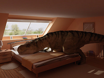 Nap Time, dinosaurs, funny, abstract HD wallpaper
