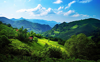 Emerald hills, Natural splendor, Peaceful scenery, Captivating vistas HD wallpaper