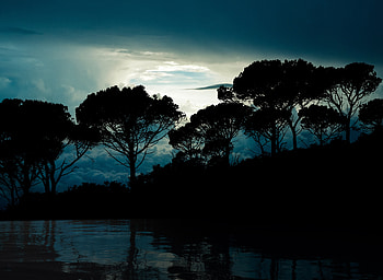Landscape, Trees, Night, Clouds, Reflection, Dark HD wallpaper