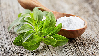 Stevia, Sweetener, , Food HD wallpaper