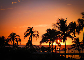 Nature, Sunset, Palms, Horizon, Ocean, Tropics, Hawaii HD wallpaper
