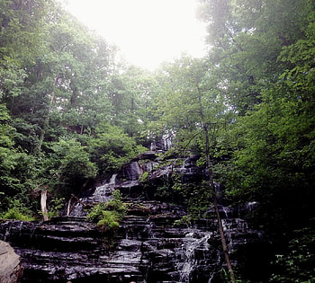 forest waterfall, mist, rainforest, waterfall, nature, forest HD wallpaper