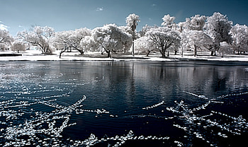 Snow White Beauty on Lake, cool, reflection, beauty HD wallpaper