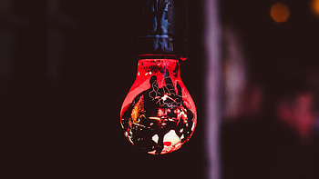 Red, portrait, light bulb HD wallpaper