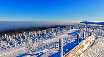 Winter, Nature, Path, Fence, Frost, Hoarfrost HD wallpaper