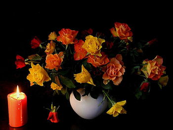 Still Life, rose, colors, vase, candle HD wallpaper