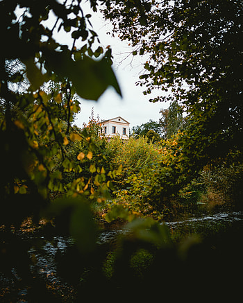 Nature, Trees, Bush, Building, House HD phone wallpaper