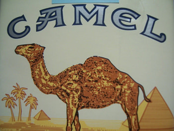 Camel, pack, ad, logo, other HD wallpaper