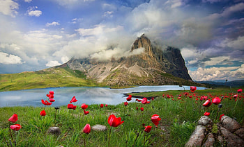 wind on the mountain top, wind, sky, flowers, mountain HD wallpaper