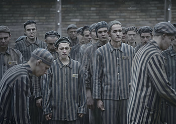 The Tattooist of Auschwitz: Series, TV Show, The Tattooist of Auschwitz HD wallpaper
