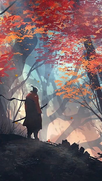 Lone samurai, sunlight, ancient era, loneliness HD phone wallpaper