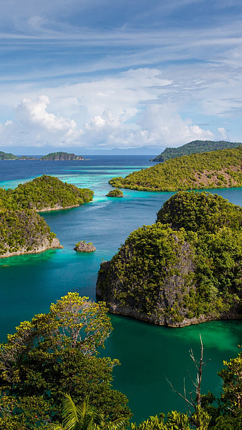 Exotic Raja Ampat, Tropical islands, Palm trees and ocean, Enchanting HD phone wallpaper