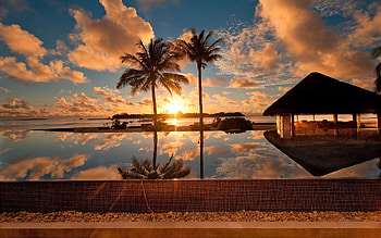 Nature, Sunset, Sea, Palms, Fencing, Enclosure, Bungalow HD wallpaper