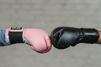 Close-up of pink and black boxing gloves fist bumping in gym setting. HD wallpaper