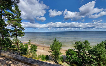 Beach in Latvia, sea, clouds, trees, Latvia, beach HD wallpaper