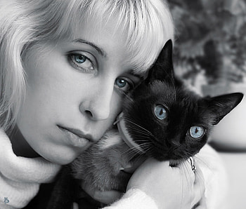 BLUE EYES, blue, graphy, portrait, eyes, cat, friendship, woman, beauty HD wallpaper