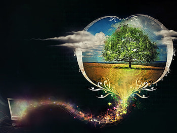 Heart View Heartland, abstract, field, heartland, heart, tree HD wallpaper