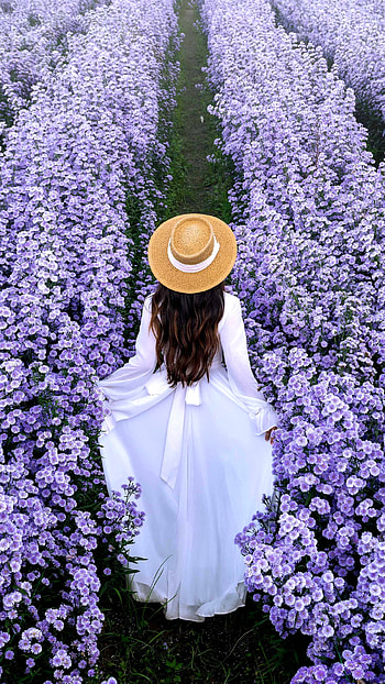 Lavender field, graph, white dress, , girl HD phone wallpaper