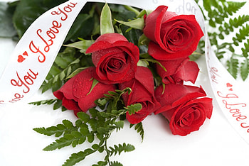 ღ❤ღ I love you ღ❤ღ, roses, love, beautiful, I love you, heart HD wallpaper