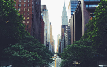 Chrysler Building NYC, architecture, new york city, skyscrapers, trees, chrysler building HD wallpaper