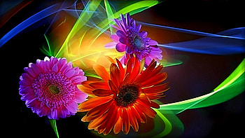 Flowers Live - Android Apps on Google Play HD wallpaper